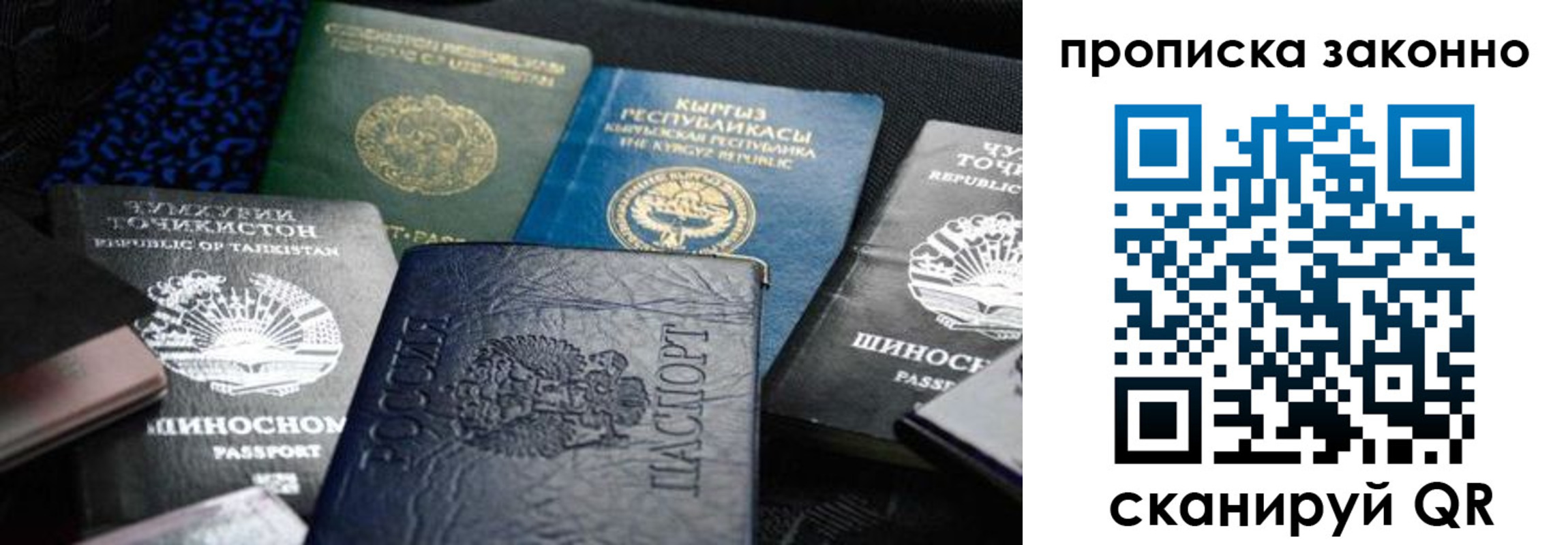 прописка поиск в Томске